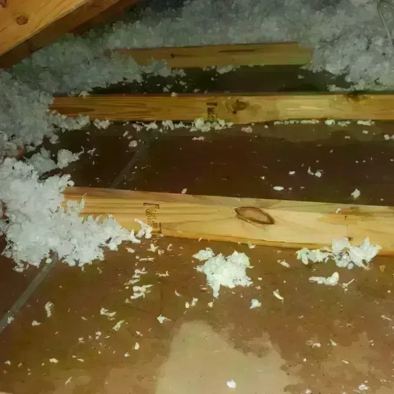 Attic Water Damage in Cupertino, CA