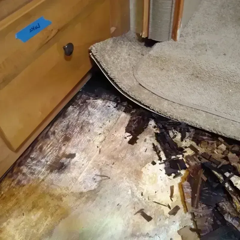 Wood Floor Water Damage in Cupertino, CA